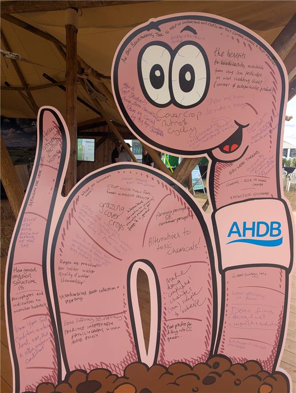 A cartoon earthworm display with ideas written on it.